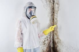 Best Residential Mold Inspection & Testing  in Frostproof, FL